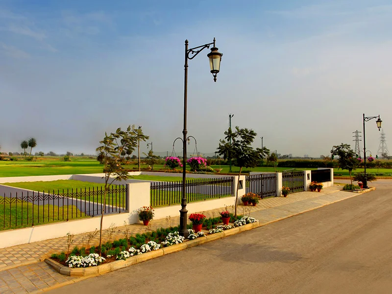 Landscaped plot setting